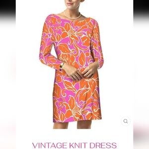 Barbara Gerwit Vintage Style Knit Dress
